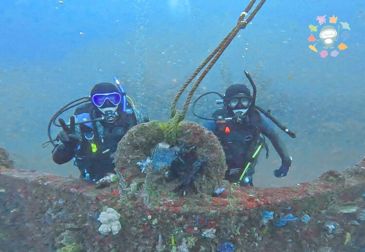 Namidea 熱海で沈船&洞窟ダイブ🎄🎅🎄