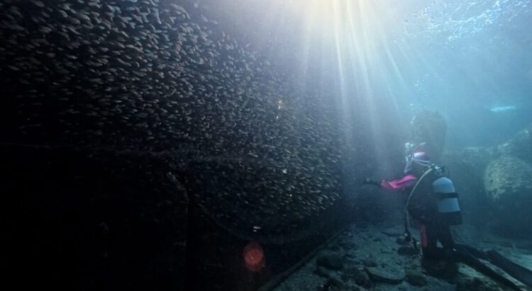 Namidea 海洋公園&城ヶ島ツアー開催🎉今日も城ヶ島は素晴らしかった🌞
