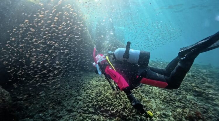 Namidea 海洋公園&城ヶ島ツアー開催🎉今日も城ヶ島は素晴らしかった🌞