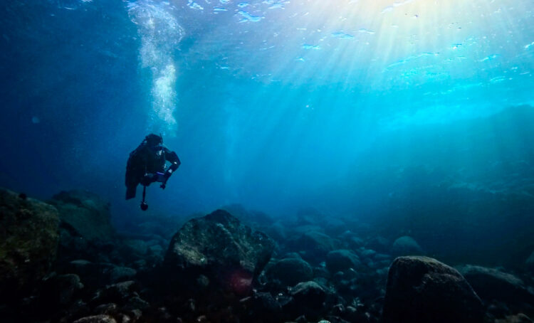 Namidea 伊豆海洋公園でトレーニング💪