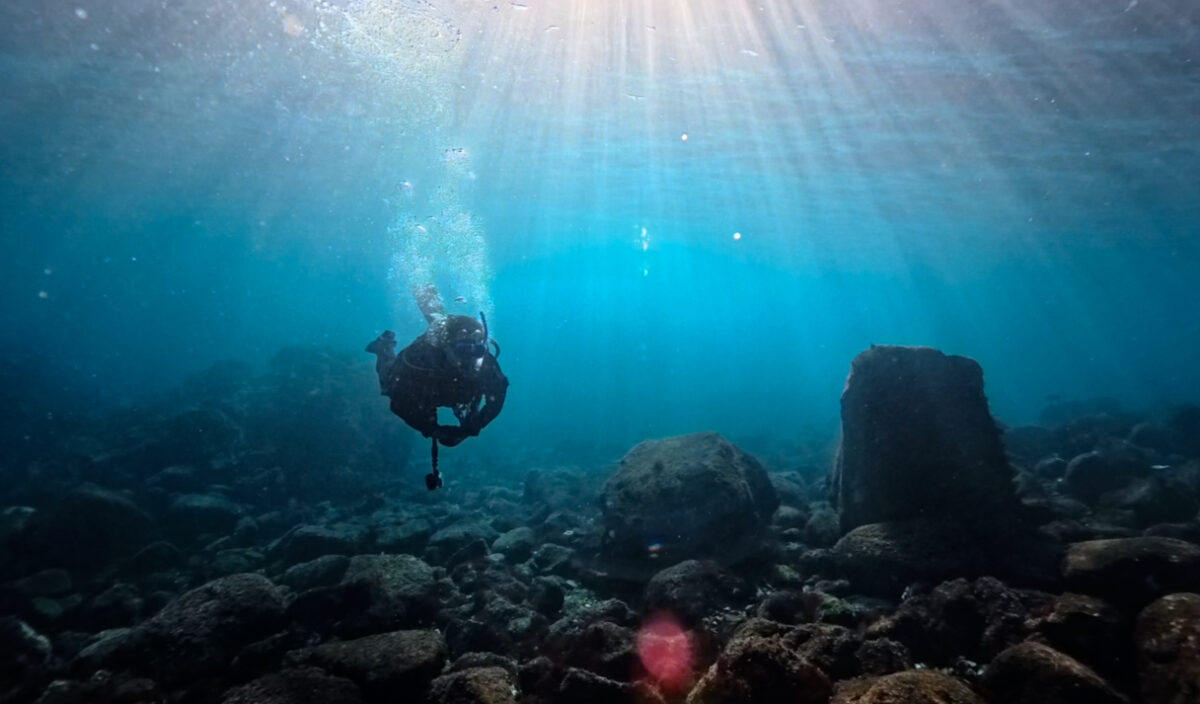 伊豆海洋公園でトレーニング💪