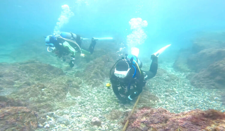 Namidea 女子チームで葉山ツアー💁♀️お店戻ってクッキーパーティー🍪🎉