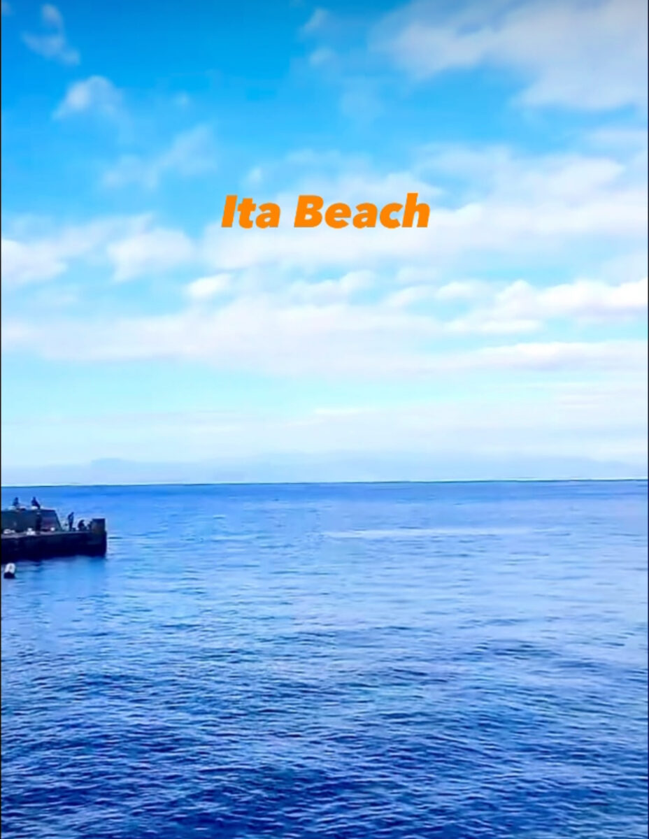 Namidea 井田でアップデート講習！