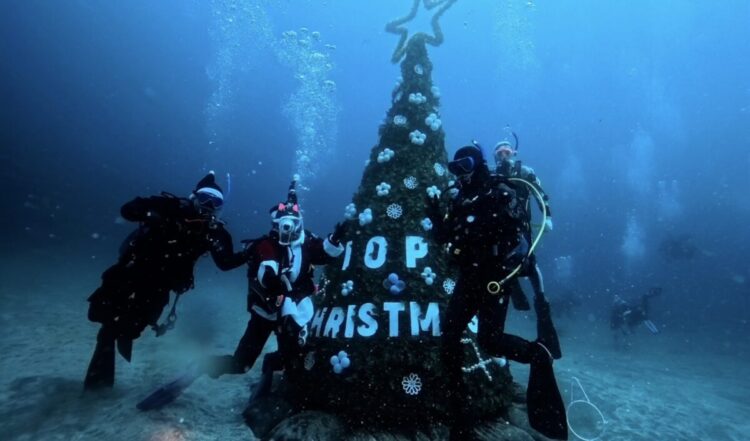 Namidea 伊豆海洋公園でクリスマス満喫🎄🎅🎄