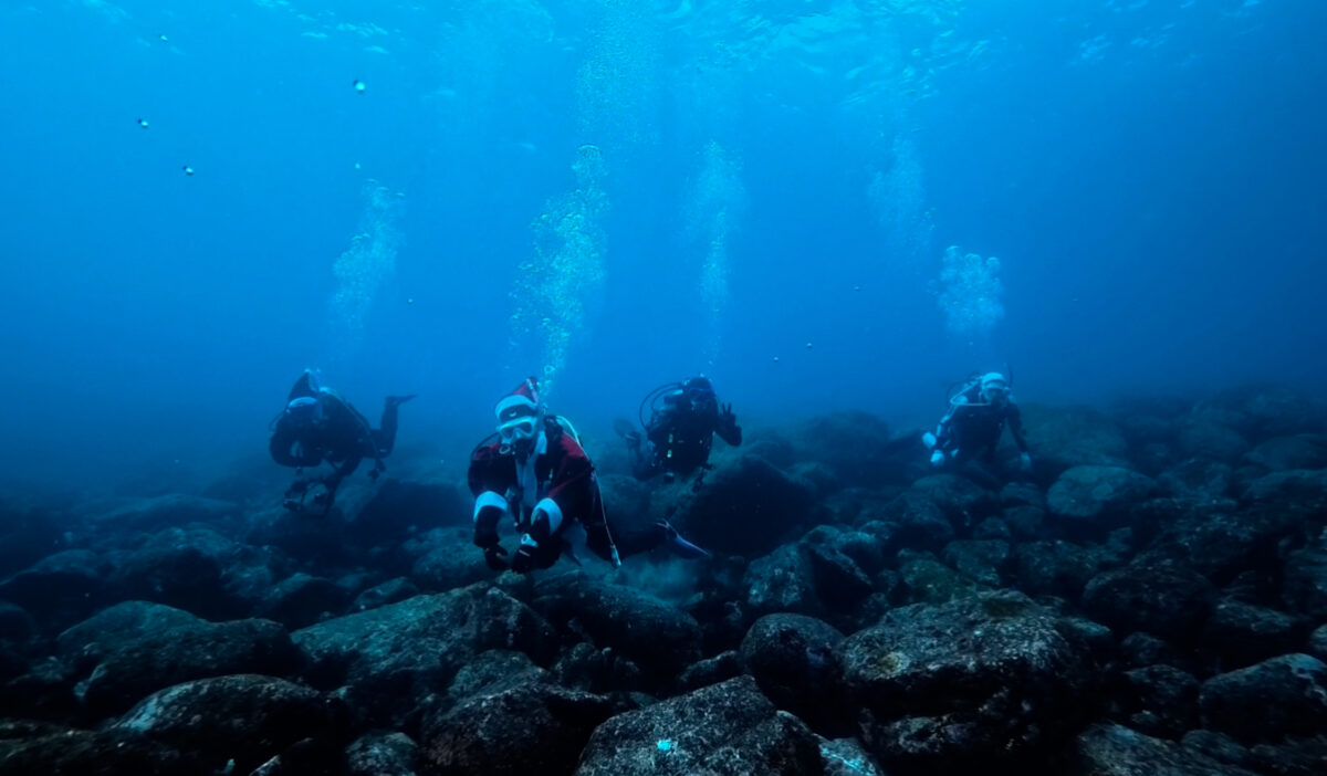 Namidea 伊豆海洋公園でクリスマス満喫🎄🎅🎄
