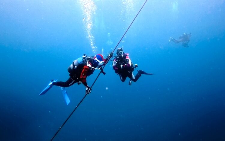 Namidea Have a wonderful Christmas Eve 🎉🎄🍰