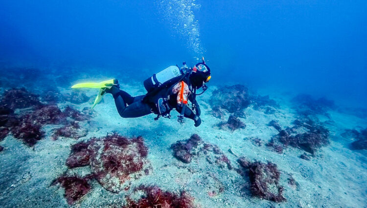 Namidea 2025年最初営業日！