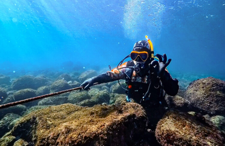 Namidea 2025年最初営業日！