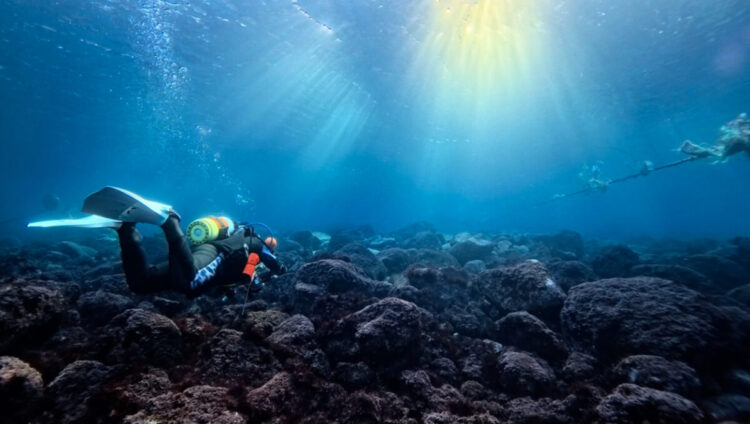 Namidea 2025年年越しツアースタート🎉初日は過去最高の透明度に✨