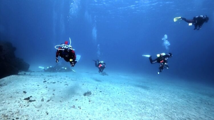 Namidea 2025年年越しツアースタート🎉初日は過去最高の透明度に✨