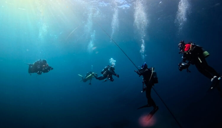 Namidea 2025年潜り納め👏