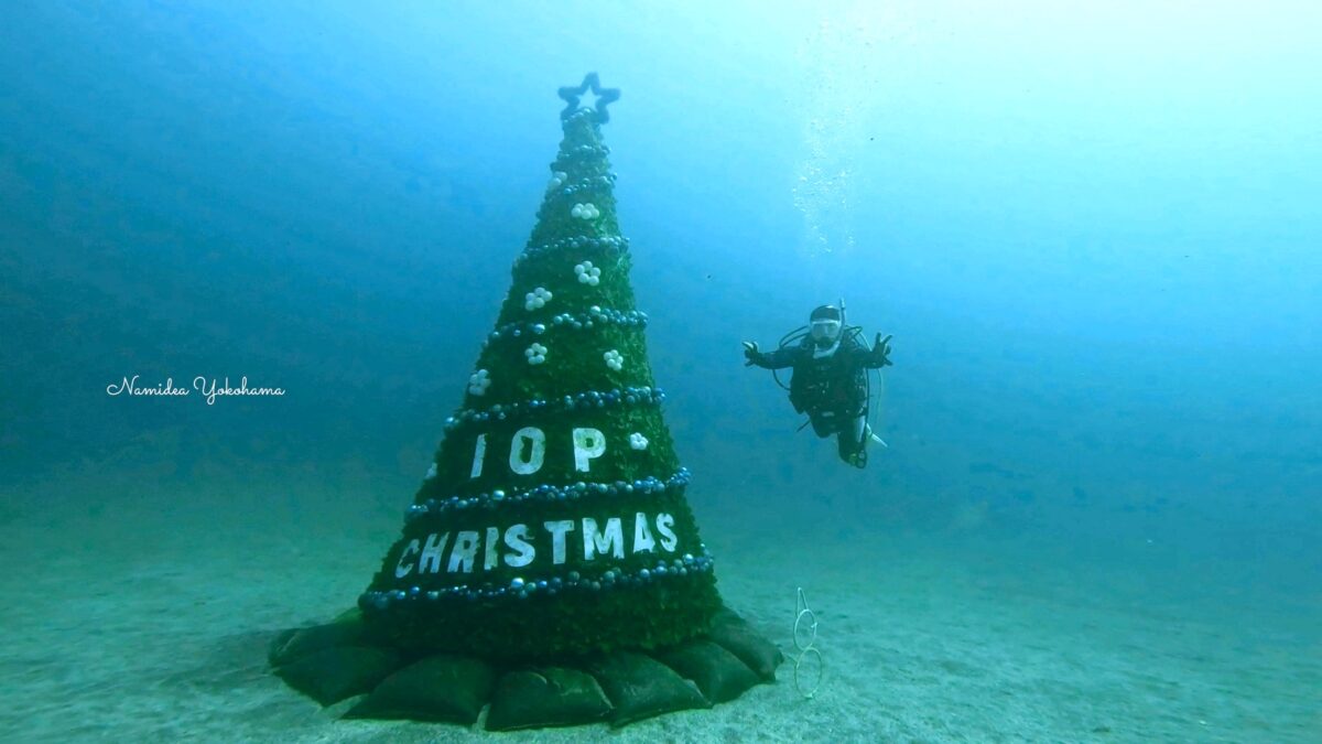 IOPクリスマスツリー