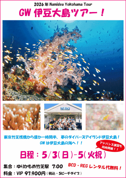 Namidea 2026GW大島ツアー！