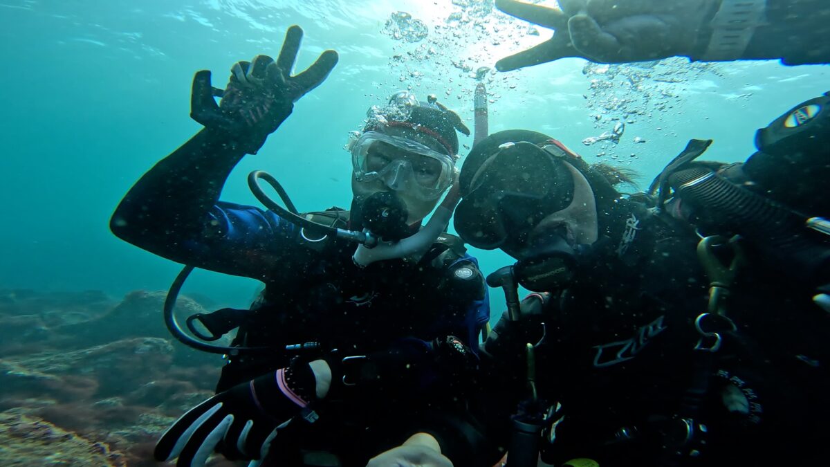 Namidea Xmasモード満喫🎄平日ツアー開催🎉