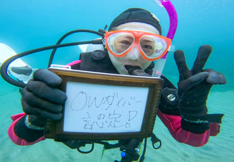 Namidea サメまみれの伊戸ツアー🦈&城ヶ島でダイバー誕生🎉
