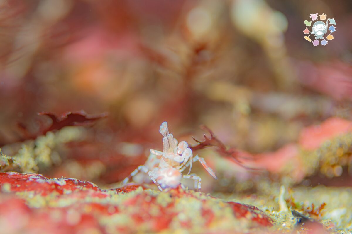 Namidea 1/9(土) 通常営業いたします！