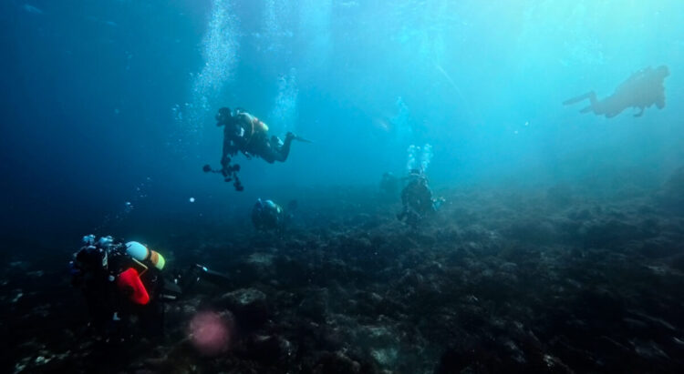 Namidea 2026 謹賀新年✨今年も最高のスタートでした👏