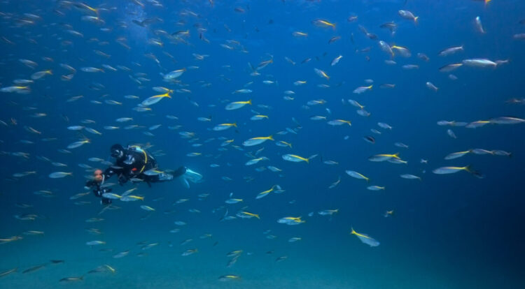 Namidea 2026 謹賀新年✨今年も最高のスタートでした👏