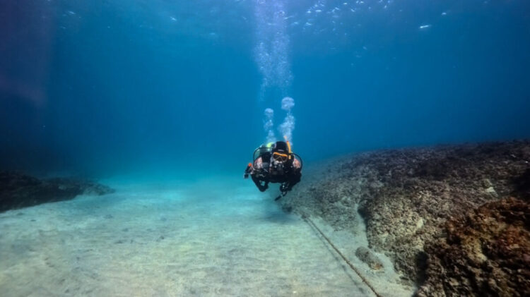 Namidea2026年シーズンスタートです！