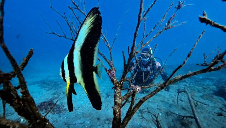 Namidea2026年シーズンスタートです！