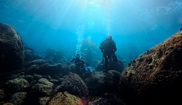 2026年最初の連休初日は初島へ⛴️💨