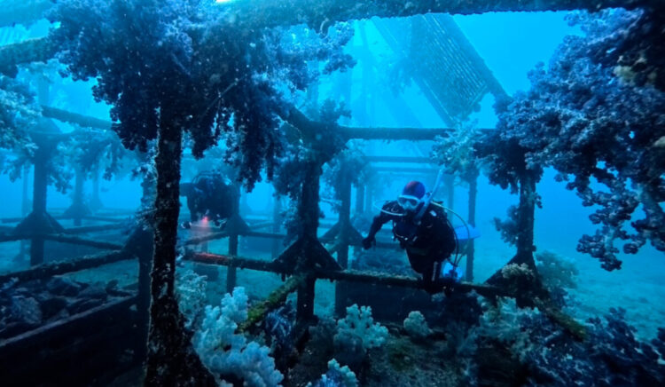 2026年最初の連休初日は初島へ⛴️💨