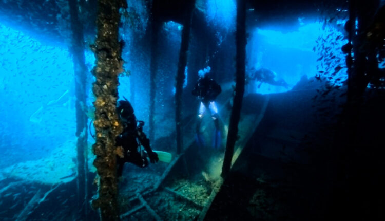 Namidea 連休中日は熱海沈船探索ダイビングへ⛴️💨
