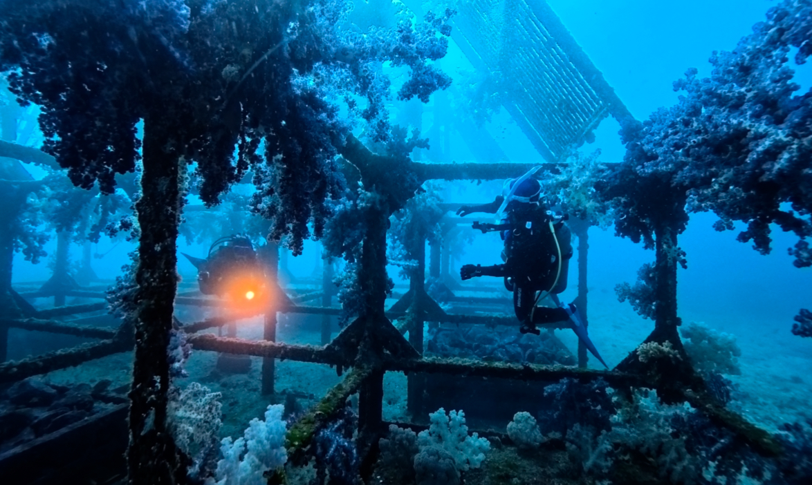 Namidea 成人の日！新成人の皆様おめでとうございます🎉