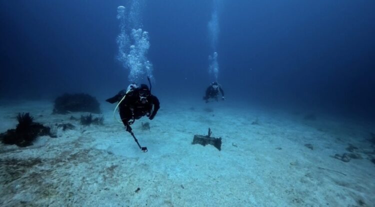 Namidea 快晴の初島ツアー！透明度も復活！！