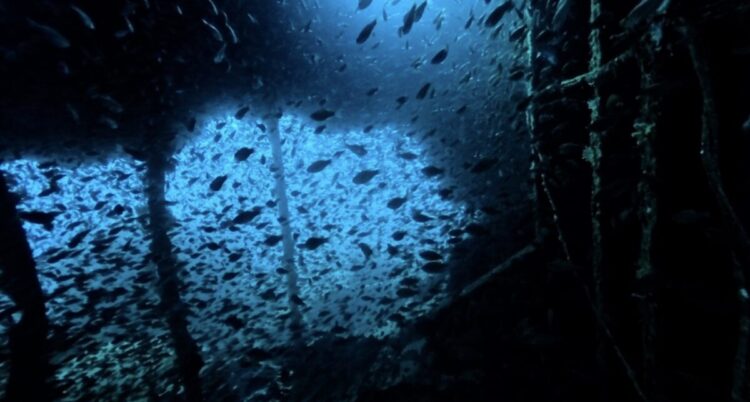 Namidea 透明度抜群の熱海ボート！期間限定小曽我洞窟へ！