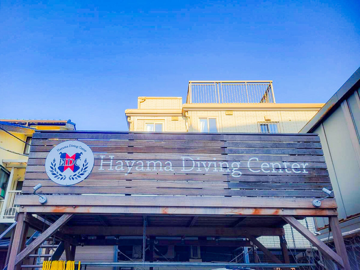 Namidea 葉山ボートツアー開催！