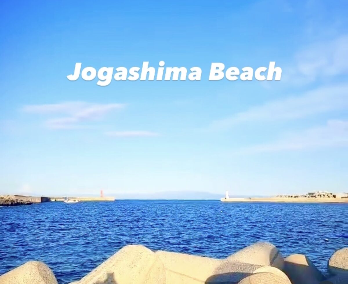 Namidea 年度末！