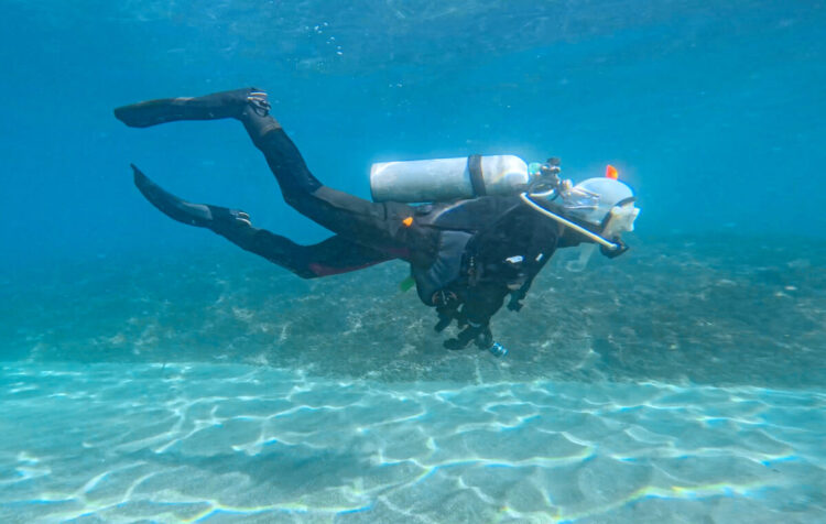 Namidea 春の陽気の中城ヶ島&お店でアップデート講習🌸