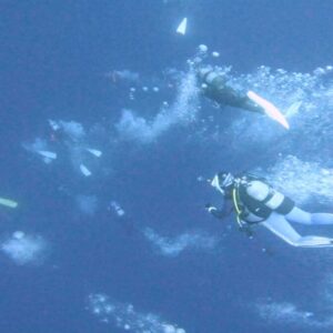 与那国島ツアー