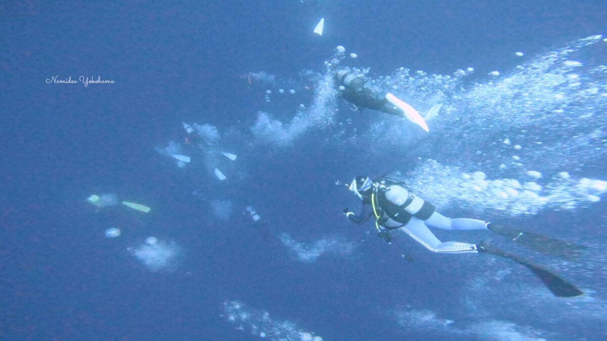 与那国島ツアー