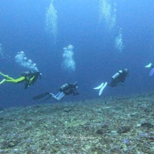 与那国島ツアー
