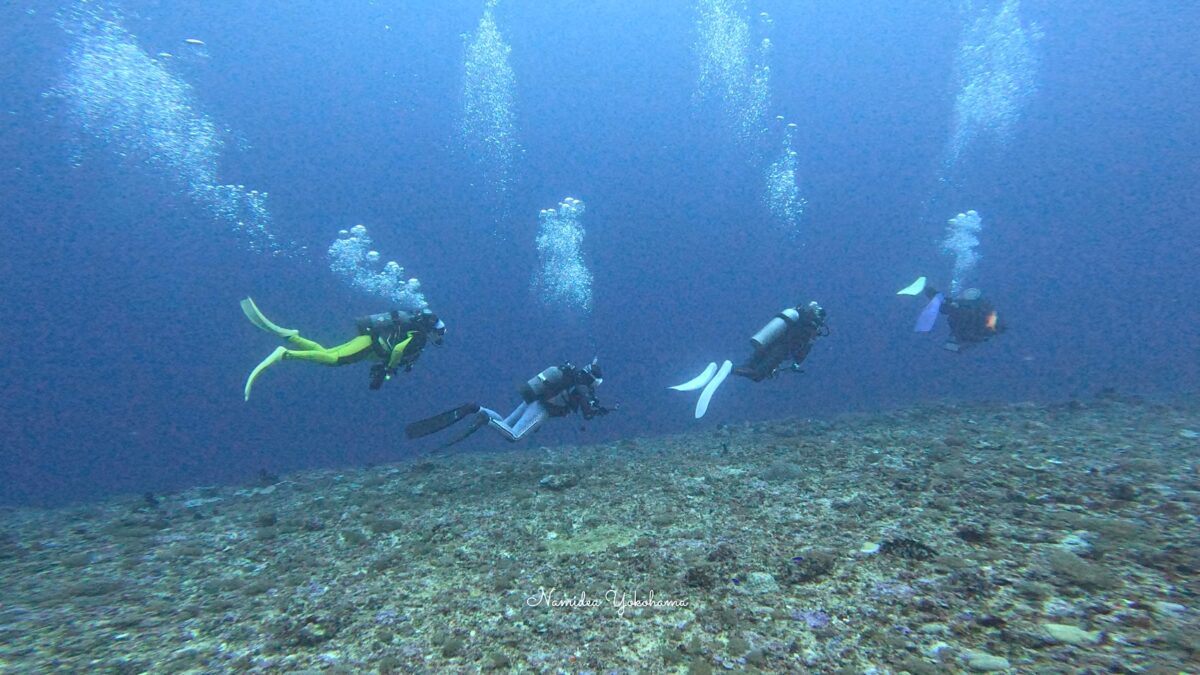 与那国島ツアー