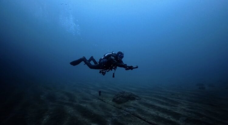 Namidea 与那国島ツアー3日目！日帰りチームはスクーターで大はしゃぎ！