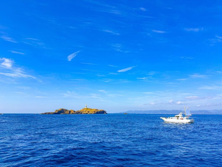 Namidea 押切JAPAN🇯🇵神子元島ツアー2026シーズン開幕戦は大勝利!