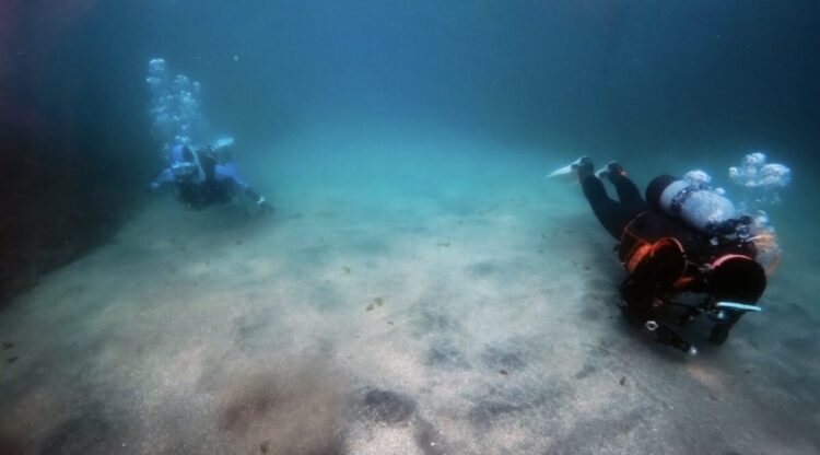 Namidea 今日は城ヶ島で平日女子チームのんびりツアー開催!