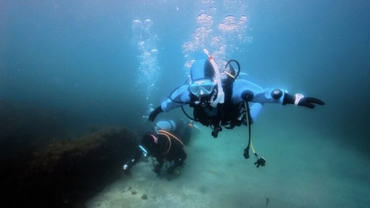 Namidea 今日は城ヶ島で平日女子チームのんびりツアー開催!