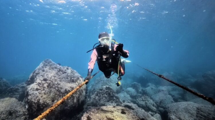 Namidea 連休初日!流氷前に福浦でキビナゴ満喫ツアー開催!