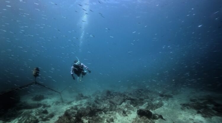 Namidea 連休初日!流氷前に福浦でキビナゴ満喫ツアー開催!