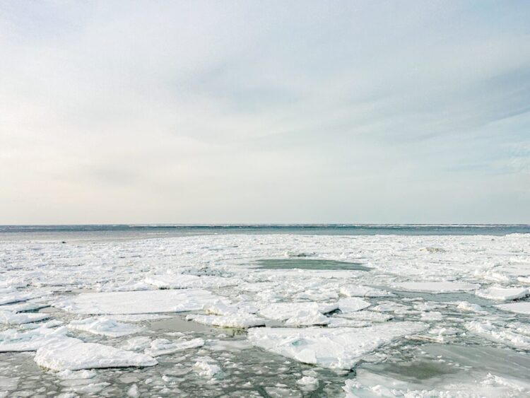 Namidea 流氷ツアースタート！12年振りに流氷と再会！