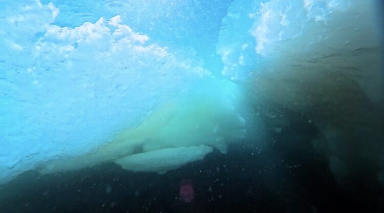 Namidea 流氷ツアー2日目は流氷遊びに❄️⛄️❄️