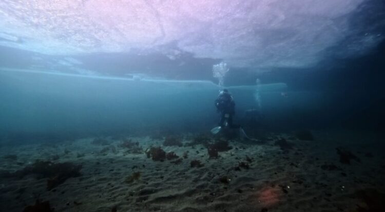 Namidea 流氷ツアー3日目!流氷の天使降臨!