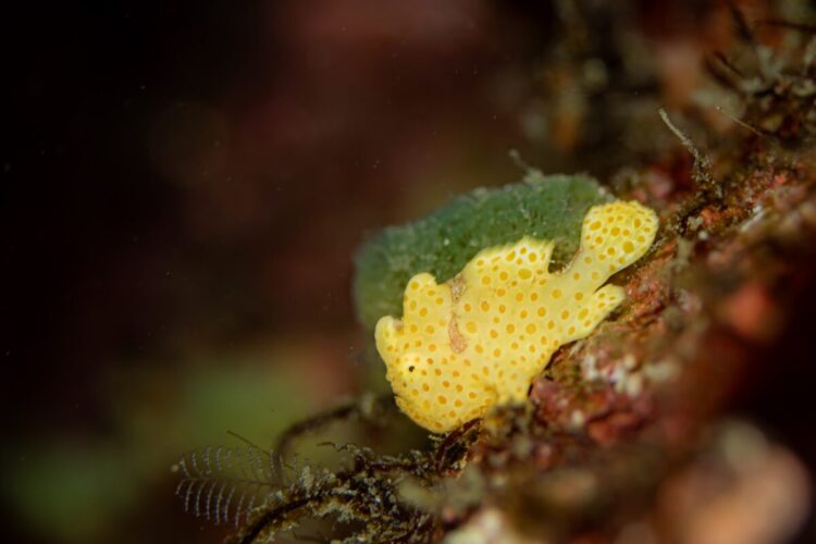 Namidea けいたちゃんのカメラ日記〜冬の江之浦編〜