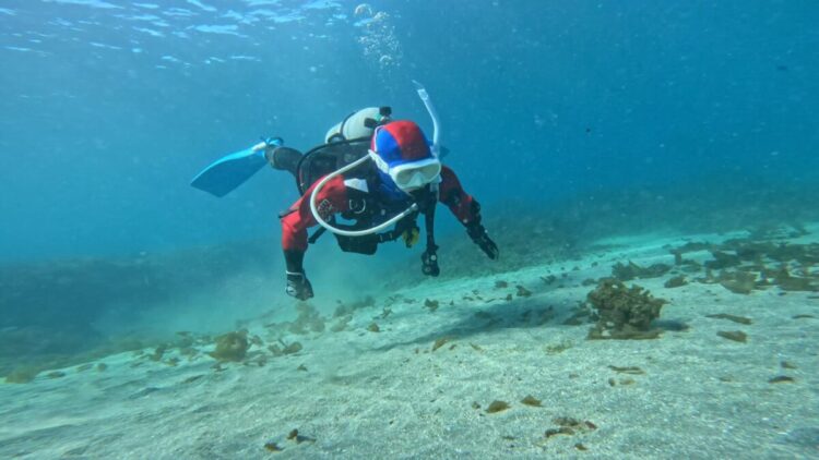 Namidea週始まりは中性浮力セミナー開催！