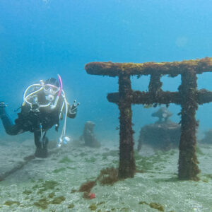 Namidea 初めての伊豆ダイビングは大瀬崎へ！