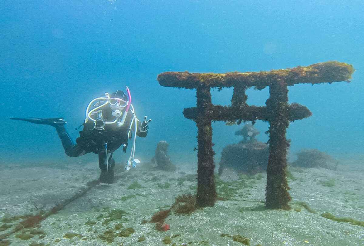 Namidea 初めての伊豆ダイビングは大瀬崎へ！